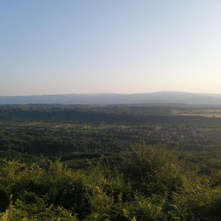 Borlova /Muntele Mic Otel Dış mekan fotoğraf