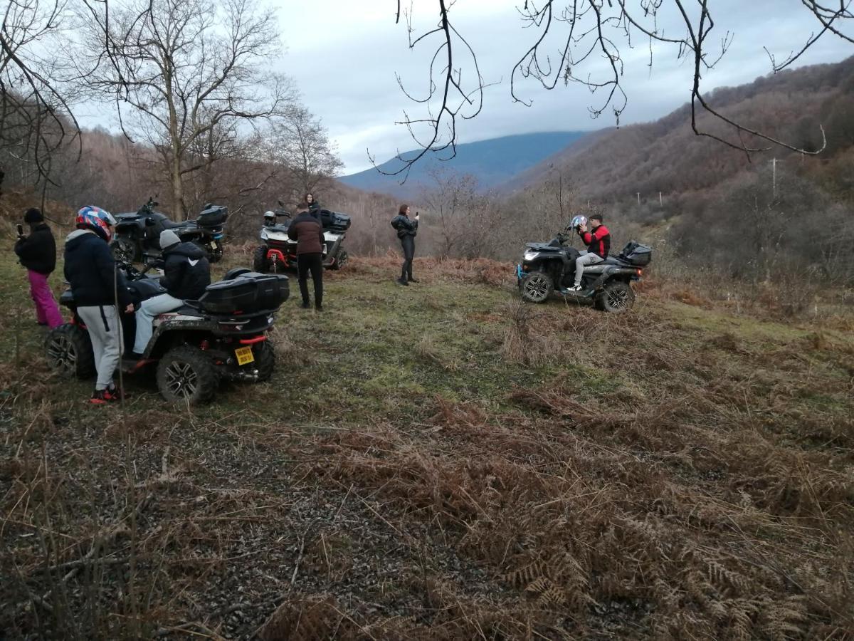 Borlova /Muntele Mic Otel Dış mekan fotoğraf